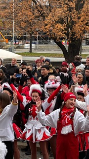 Die Fidelen tanzen den Flashmob